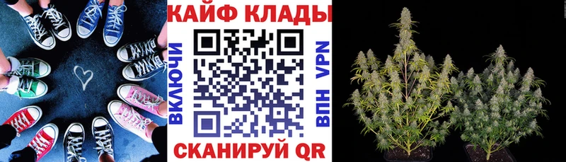 Наркота Саки Канабис  гидра как войти  Гашиш  Галлюциногенные грибы  Меф мяу мяу  Alpha PVP  Cocaine 