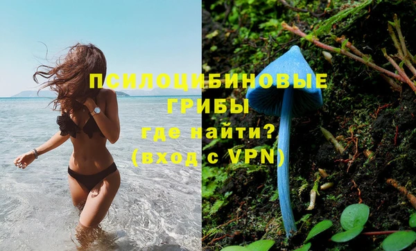 стаф Зеленокумск