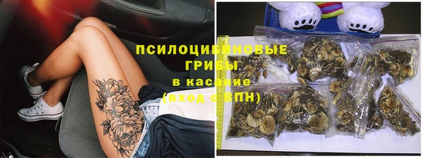 тгк Аркадак