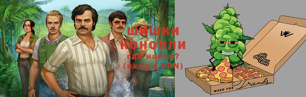 мдпв Зеленодольск