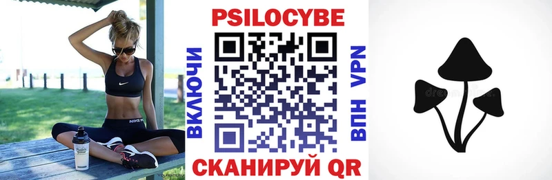 Псилоцибиновые грибы Psilocybine cubensis  shop официальный сайт  Саки  гидра онион 