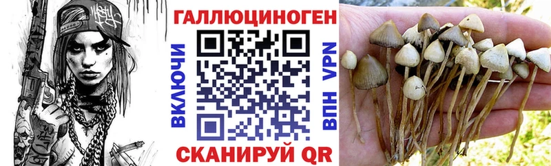 Галлюциногенные грибы Psilocybe Саки